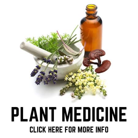 Plant Medicine